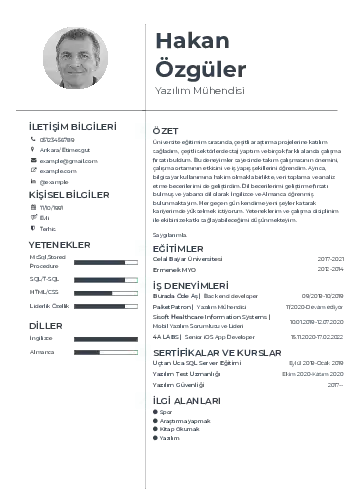 Yazılım Mühendisi Cv Örnekleri cv indir